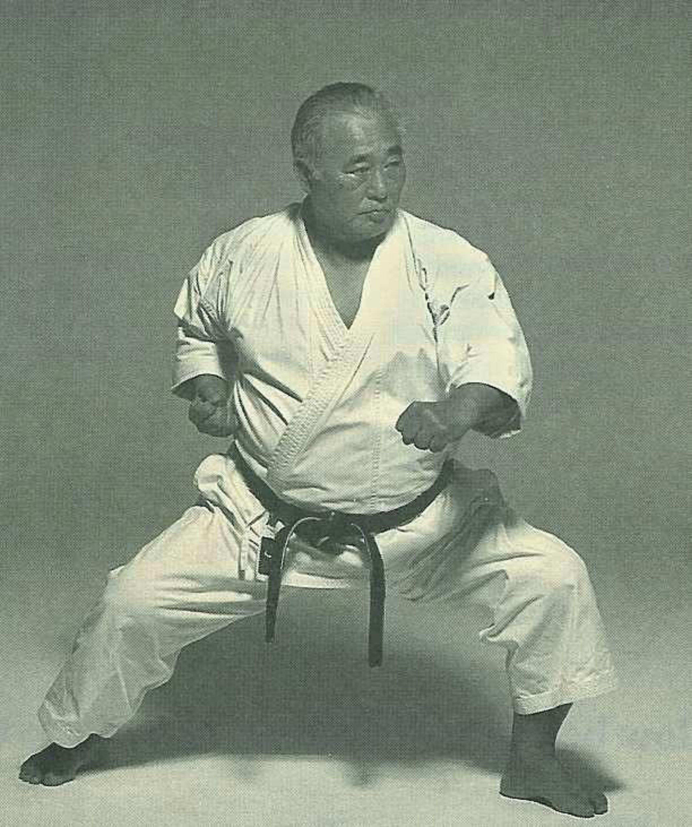 Maestro Kase in Gedan Kamae