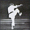 Yoshitaka