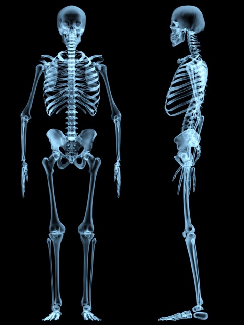 Radiografia