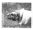 parte anteriore del pugno.BMP (12054 byte)