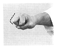 pugno.BMP (12214 byte)