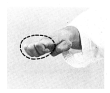 pugno2.BMP (11494 byte)