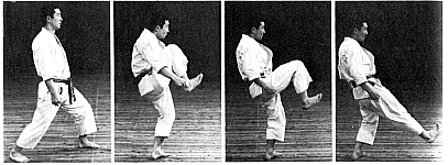 Mes Geri Kekomi