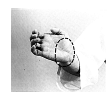 teisho.TIF (13006 byte)