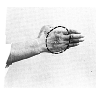 dorso della mano.TIF (12174 byte)