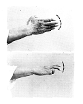 mano a lancia.TIF (20366 byte)