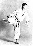MawashiGeri