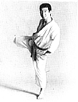 MawashiGeri