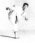 MawashiGeri