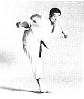 MawashiGeri