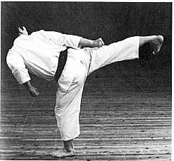 Ushiro Geri