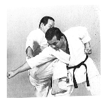 ginocchio.TIF (25390 byte)