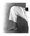 hizagashira.TIF (13606 byte)