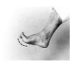 kosci.TIF (11781 byte)