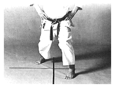 fudo.gif (128926 byte)