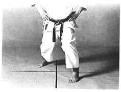 hangetsu.gif (128926 byte)
