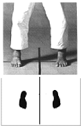 heiko-dachi.gif (64120 byte)