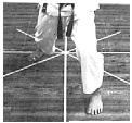 hidari zenkutsu-dachi.gif (41638 byte)