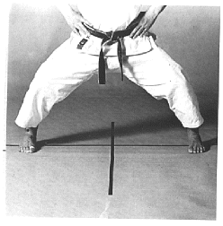kiba-dachi.gif (187544 byte)