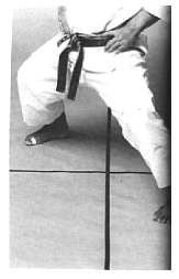 kiba-dachi2.gif (124532 byte)