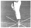 kokutsu-dachi-d-a.gif (43374 byte)