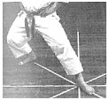 kokutsu-dachi-d.gif (42090 byte)