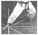 kokutsu-dachi-s.gif (44046 byte)