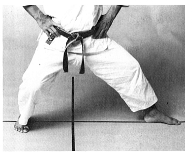 kokutsu-dachi1.TIF (42748 byte)