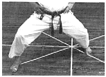 migi fudo-dachi.gif (51574 byte)