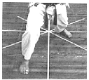 migi zenkutsu-dachi.gif (43830 byte)