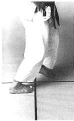 sanchin-dachi.gif (107502 byte)