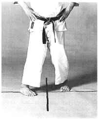 sanchin-dachi2.gif (147430 byte)
