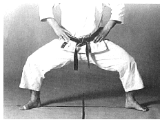 shiko-dachi.gif (125370 byte)