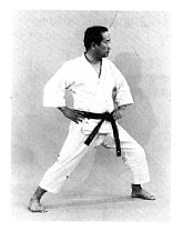 shizen-dachi2.gif (103224 byte)