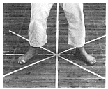 shizen-tai hachinoji-dachi.gif (60426 byte)
