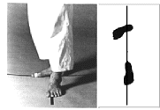 teiji-dachi.gif (68056 byte)