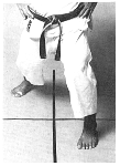 zenkutsu-dachi.TIF (28722 byte)