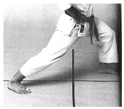 zenkutsu-dachi1.TIF (41467 byte)
