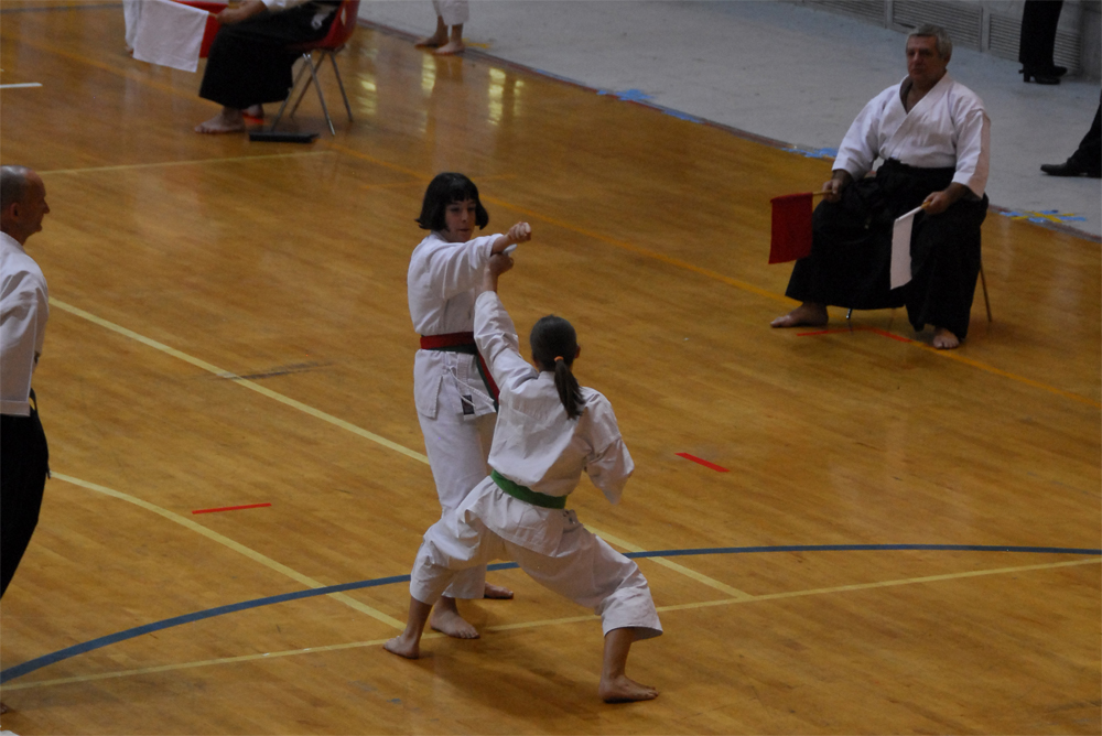 Gaia Kumite