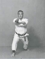 KIAI!<br>Avanzando Zen-Kutsu-Dachi, Nukite