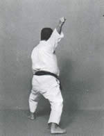 rotazione di 45° in posizione<br>Zen-Kutsu-Dachi
