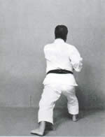 Zen-Kutsu-Dachi,<br>Gyaku Tsuki sinistro