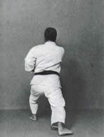 Zen-Kutsu-Dachi,<br>Gyaku Tsuki destro