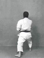 avanzando Oi-Tsuki destro<br>Zen Kutsu Dachi