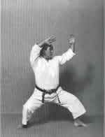 Jodan Tate Shuto sinistro<br>Jodan Kamae destro