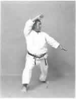 Shuto Gedan<br>Shuto Jodan (Kamae)<br>(profilo)