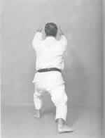 Ko Kutsu Dachi<br>Zen Kutsu Dachi