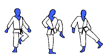 Yokogeri