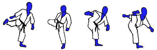 Mawashigeri