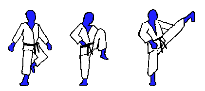 yokogeri